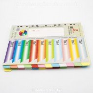 Chia file giấy 10 màu